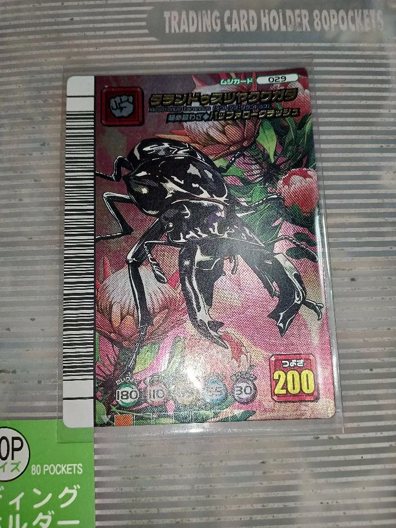 2026年最新】タランドゥスツヤクワガタ 5周年の人気アイテム - メルカリ