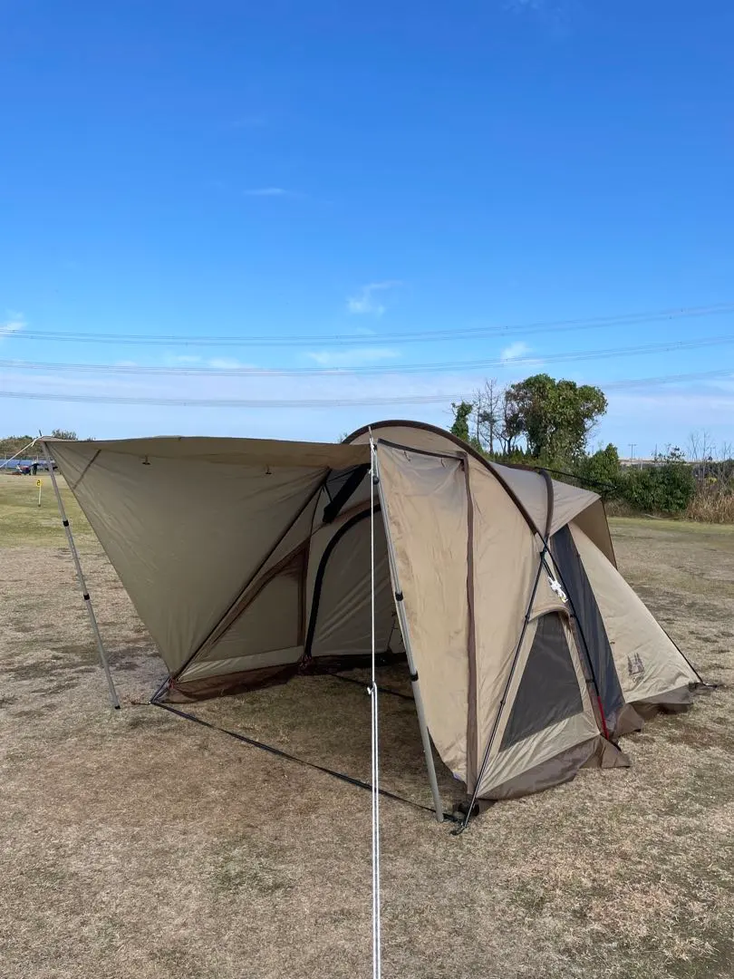 2026年最新】ヴィガス ポールの人気アイテム - メルカリ