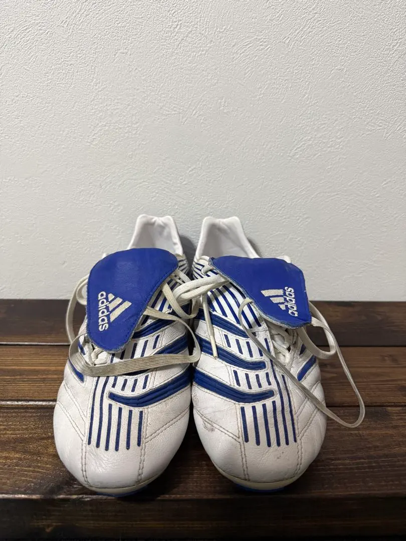 2026年最新】アブソリュート プレデターの人気アイテム - メルカリ