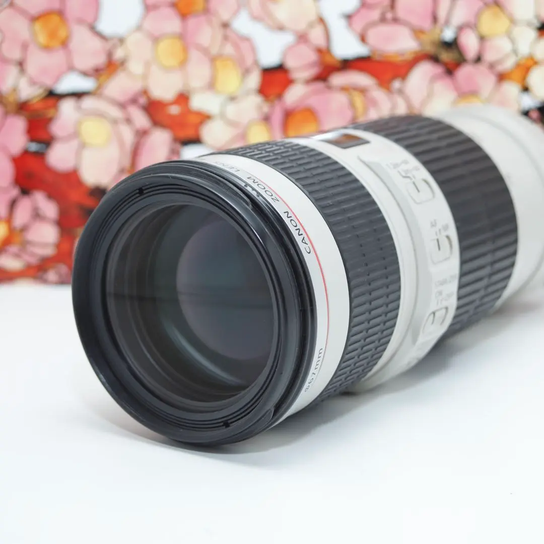 2026年最新】ef70 200mm f4l usm 中古の人気アイテム - メルカリ