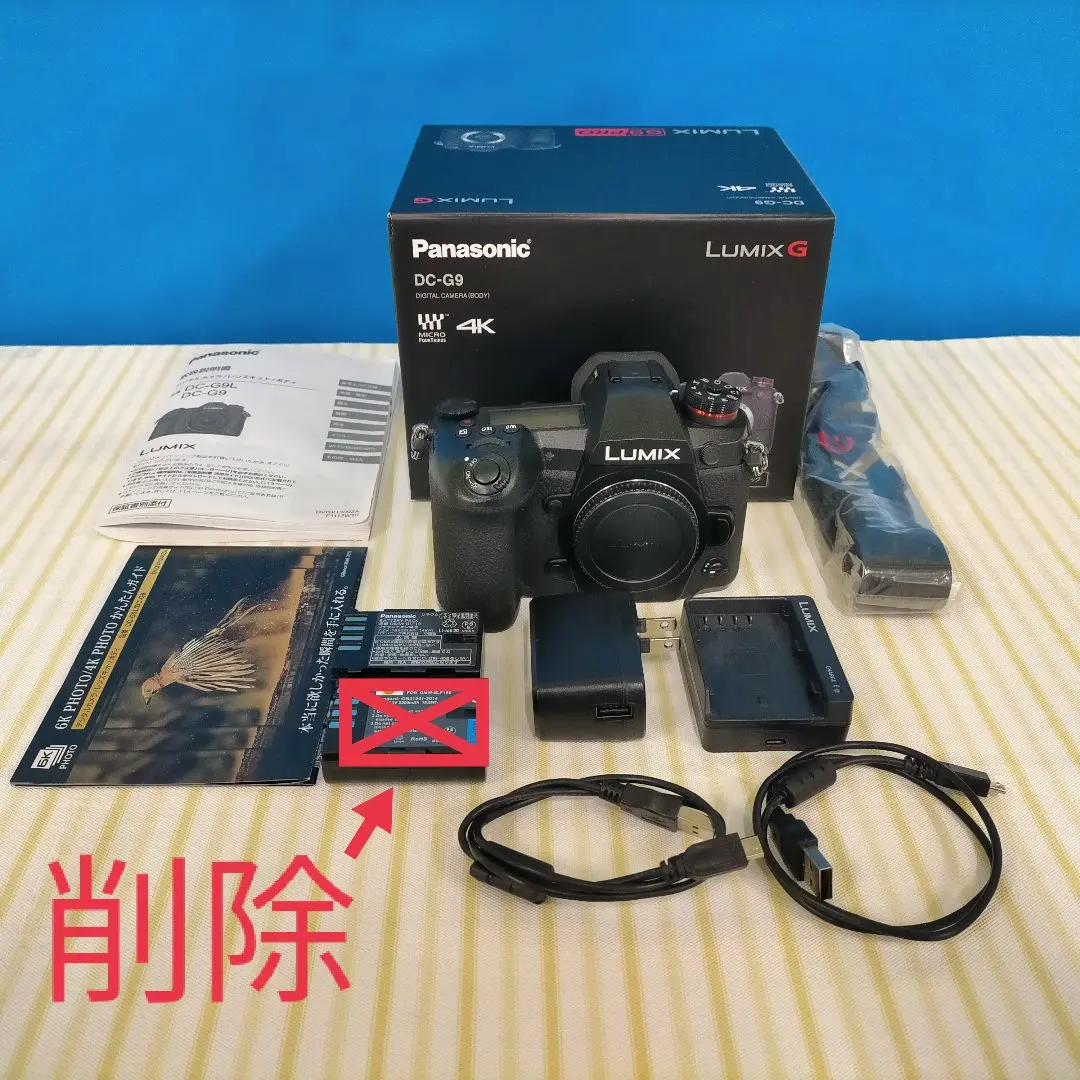 2026年最新】lumix g9 pro 本の人気アイテム - メルカリ