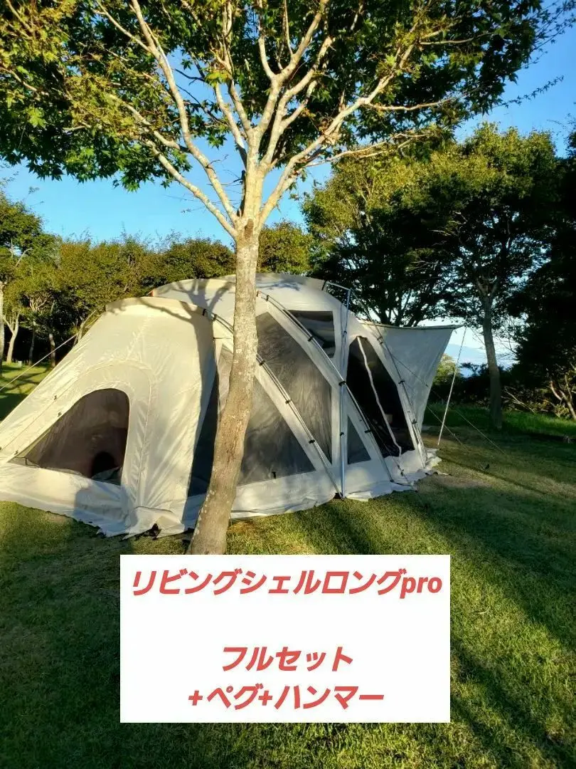 2026年最新】リビングシェルs proの人気アイテム - メルカリ