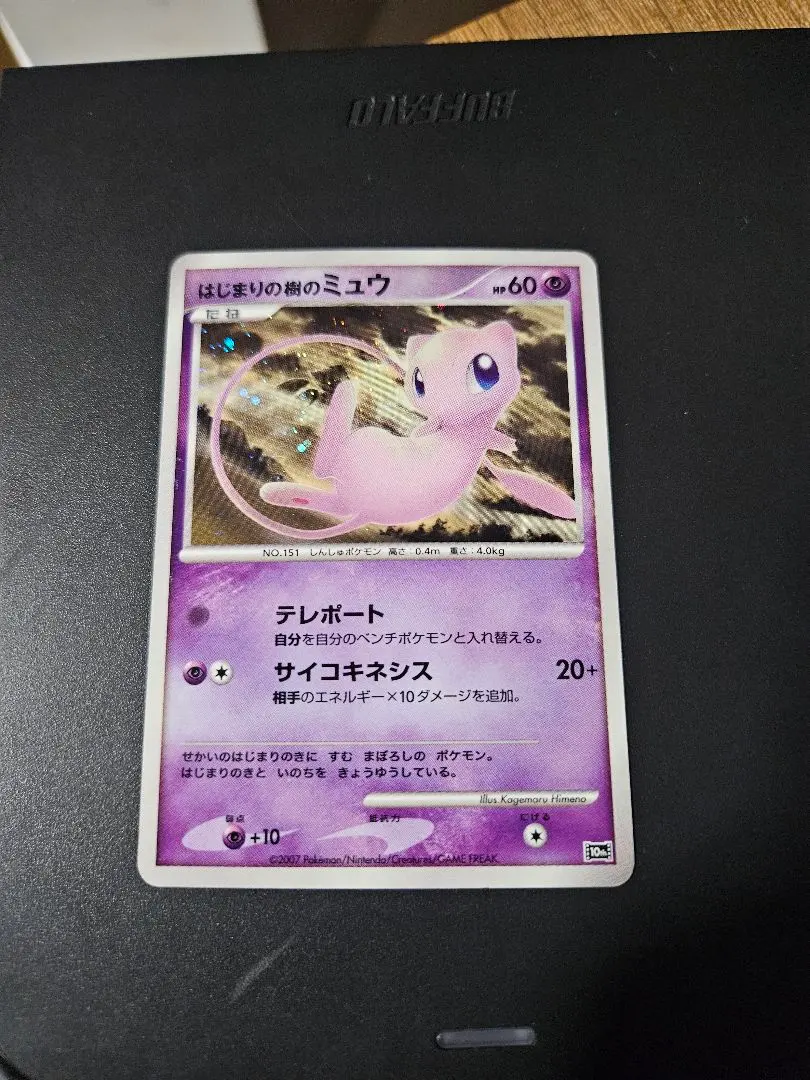 m82000997742_1.jpg?1768484239