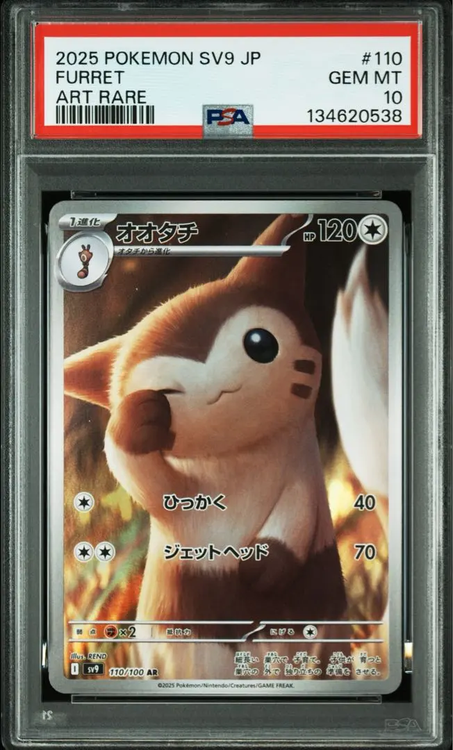 2026年最新】オオタチ psa10の人気アイテム - メルカリ