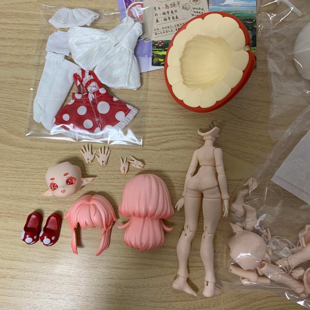 ② きのこ菌 蘑菇菌 ベニテングダケ 毒蝇伞 ブラインドドール - メルカリ