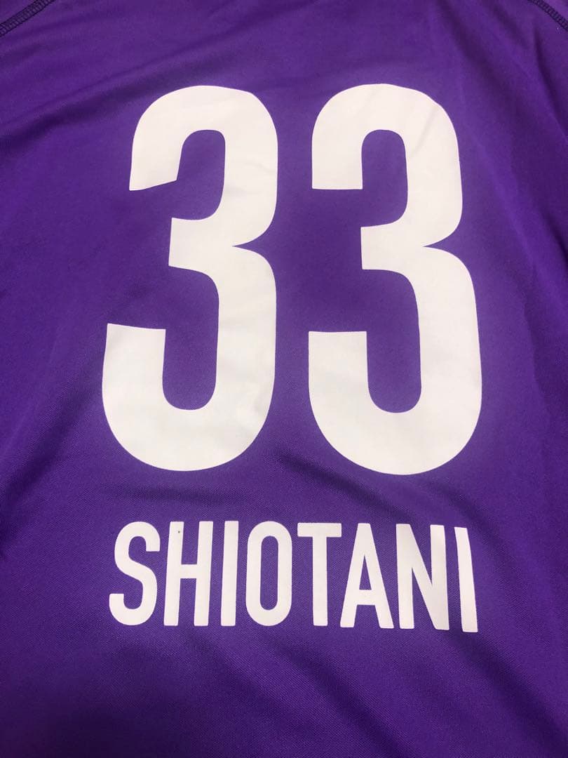 サンフレッチェ広島 塩谷司 直筆サイン入りユニフォーム Lサイズ