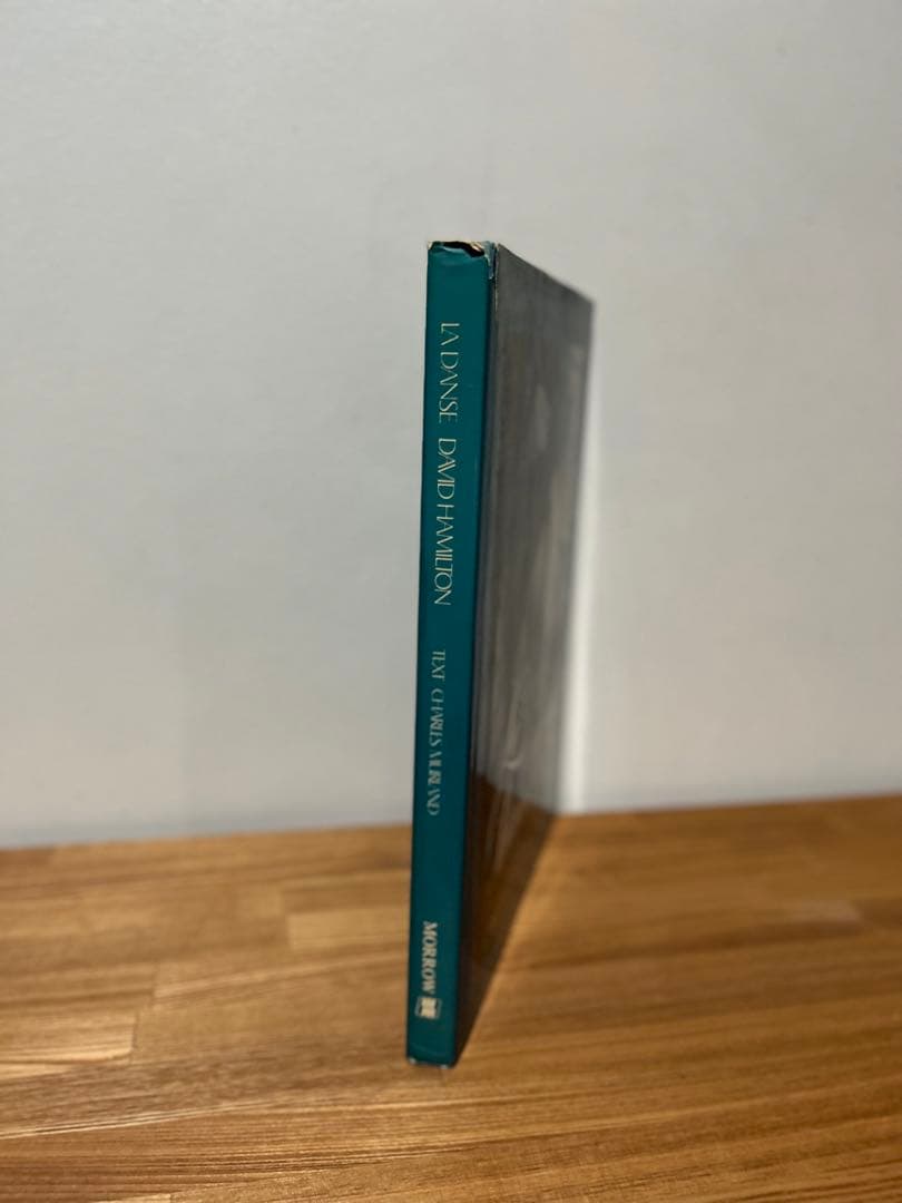 希少 La Danse David Hamilton 写真集