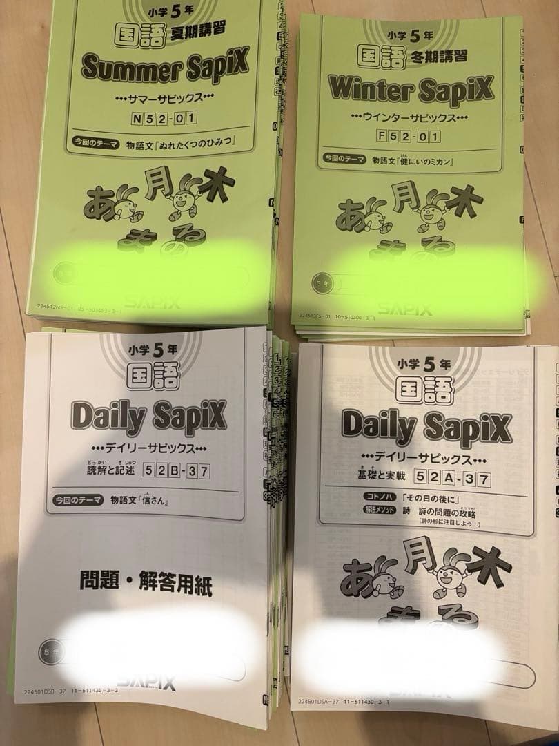 SAPIX 国語 5年生 デイリーサピックス 1年分 - メルカリ