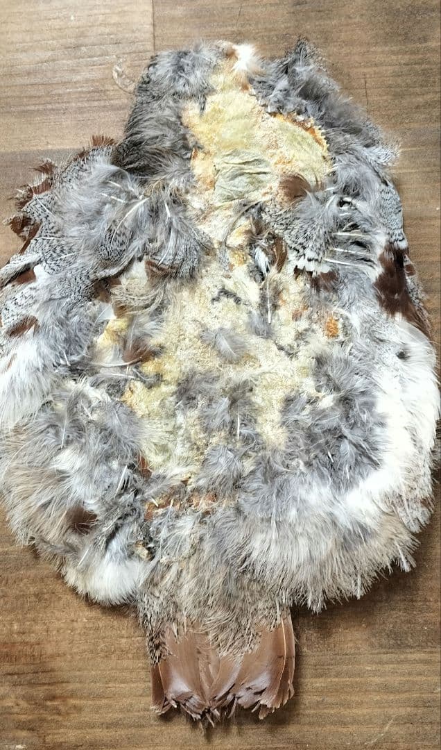 フライタイイング】ハックル ケープ・クイル 5点まとめ売り - メルカリ