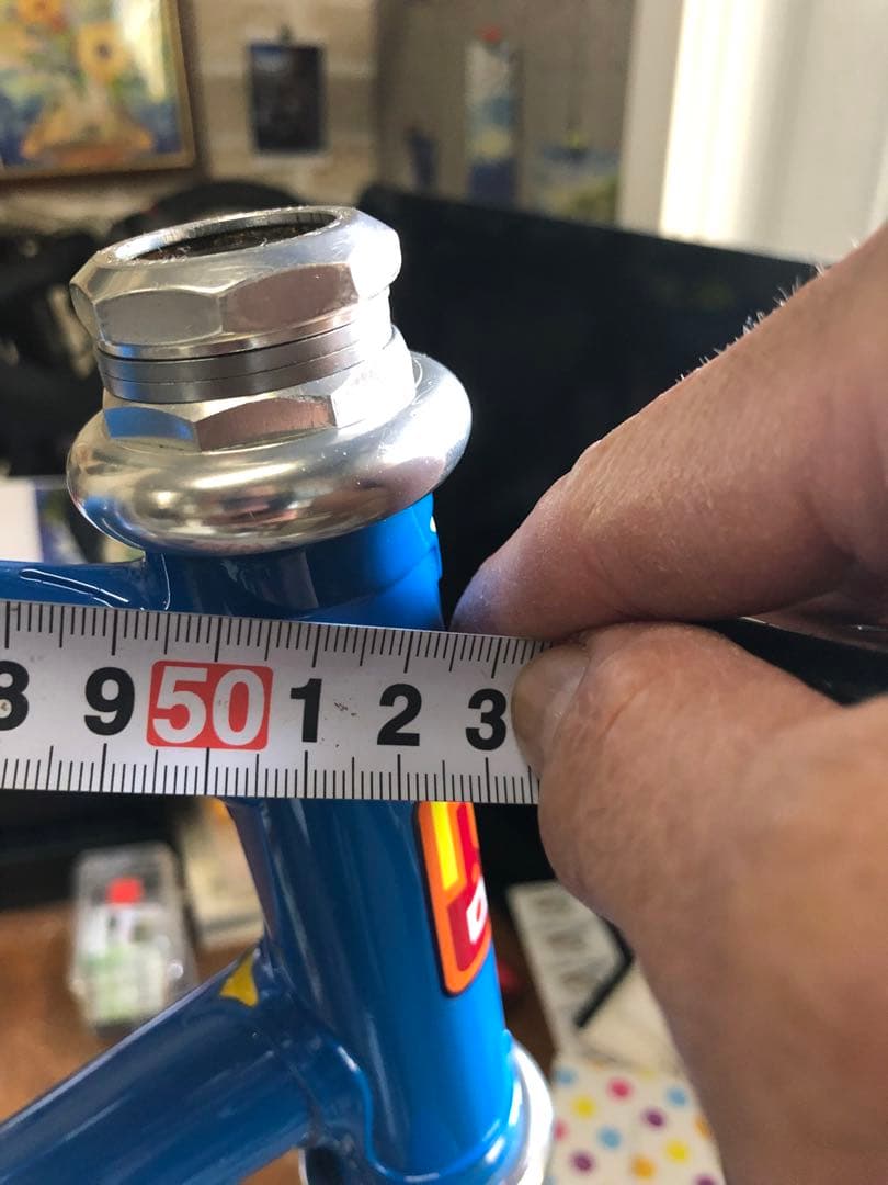 値下げ！超綺麗！NAGASAWA special PIST NJS 515mm