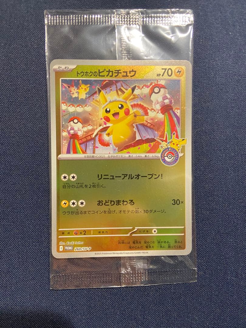 トウホクのピカチュウ P [SV-P 260] トウホクのピカチュウ(260/SV-P) | プロモ | ドラゴンスター