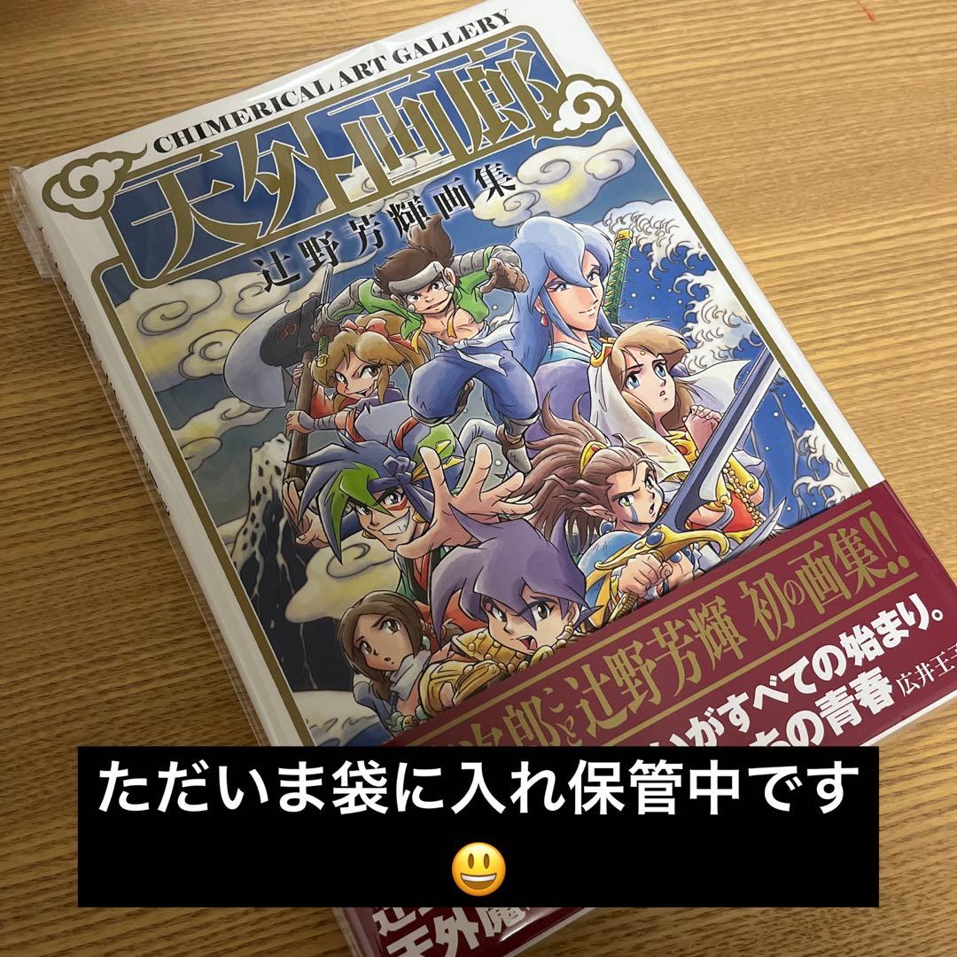 天外画廊 辻野芳輝画集 - メルカリ