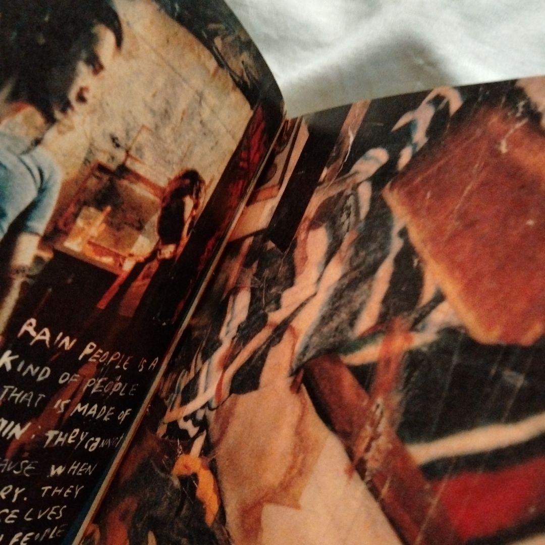 春光乍洩・happy together ブエノスアイレス 限定写真集 - メルカリ