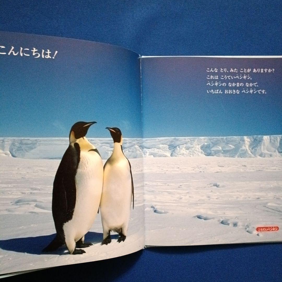ビッグサイエンス キンダーブックしぜん こどものくに ペンギンさんの