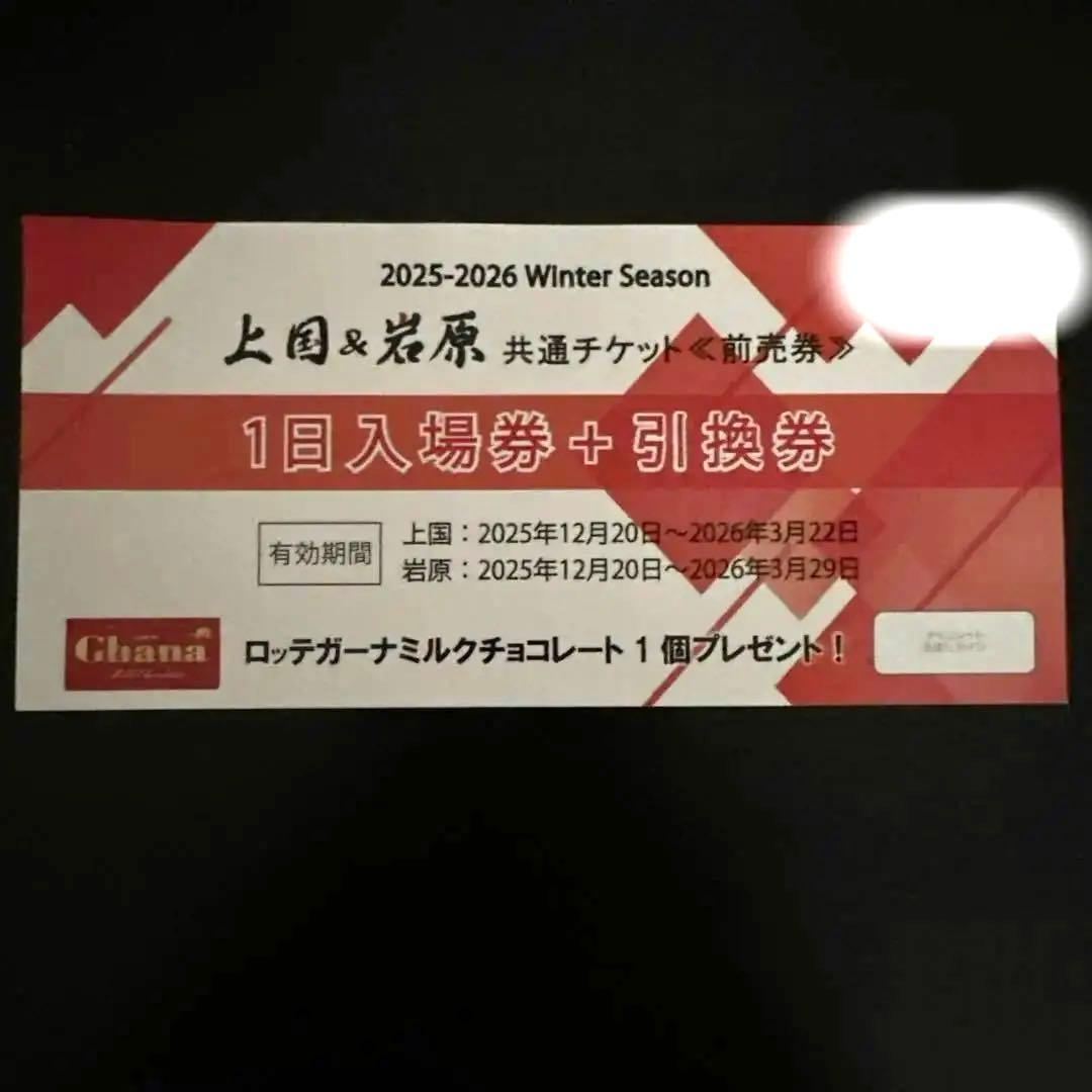 上国&岩原スキー場 1日入場券 + 引換券 2025-2026 - メルカリ