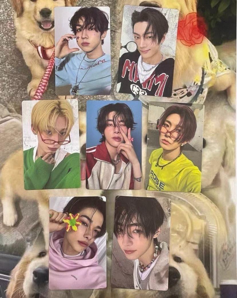 ENHYPEN 一直娱 yzy yizhiyu トレカ セット - メルカリ