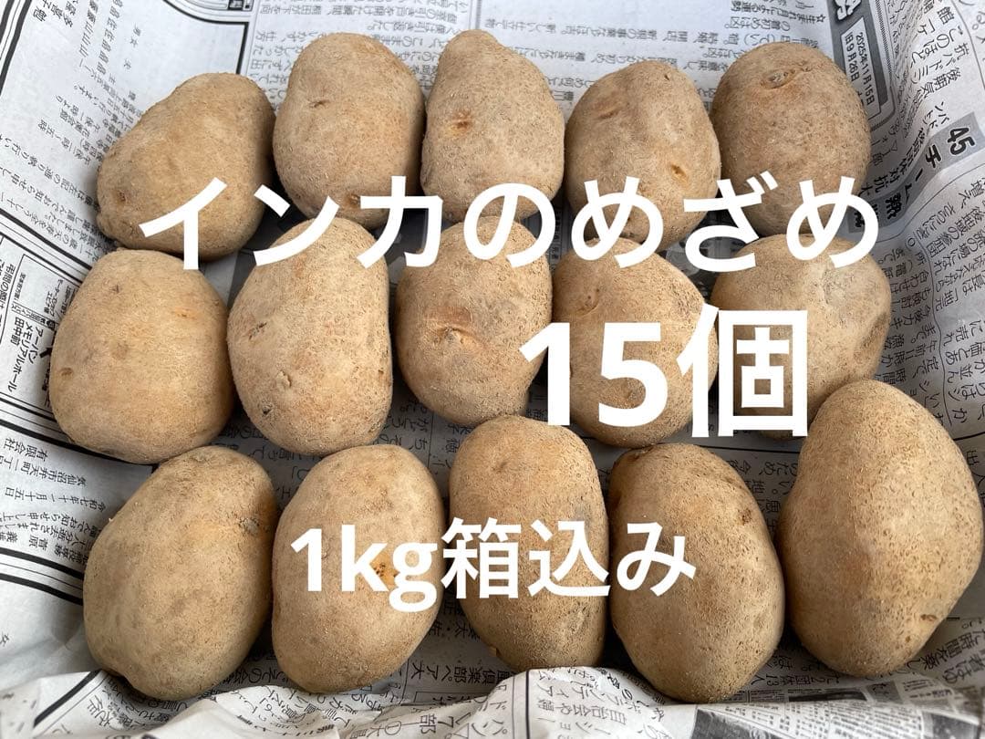 インカのめざめ 種芋 1kg箱込み - メルカリ