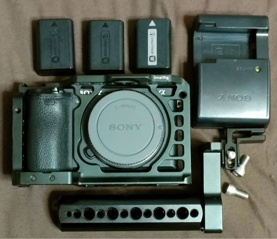 SONYα6500ボディ　ショット数7855枚　付属品多数 極上品 Sony α6500 ILCE-6500 ボディ ショット数7500｜Yahoo!フリマ