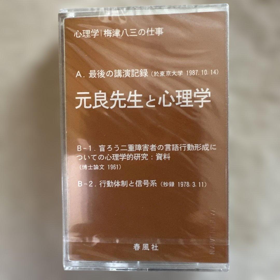 特別支援教育】心理学 梅津八三の仕事 全3巻 ビデオ付き