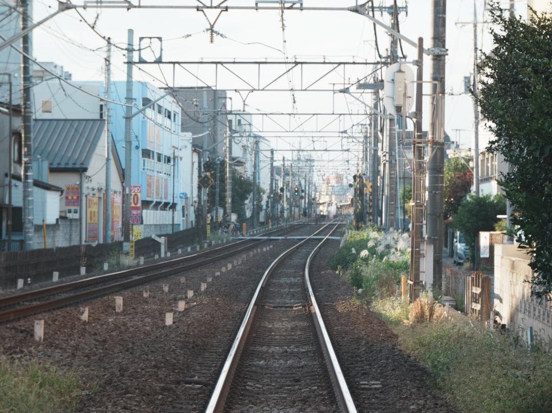 テスト画像有 古典玉 Monopol 15cm f8 Leica-Lマウント改 - メルカリ