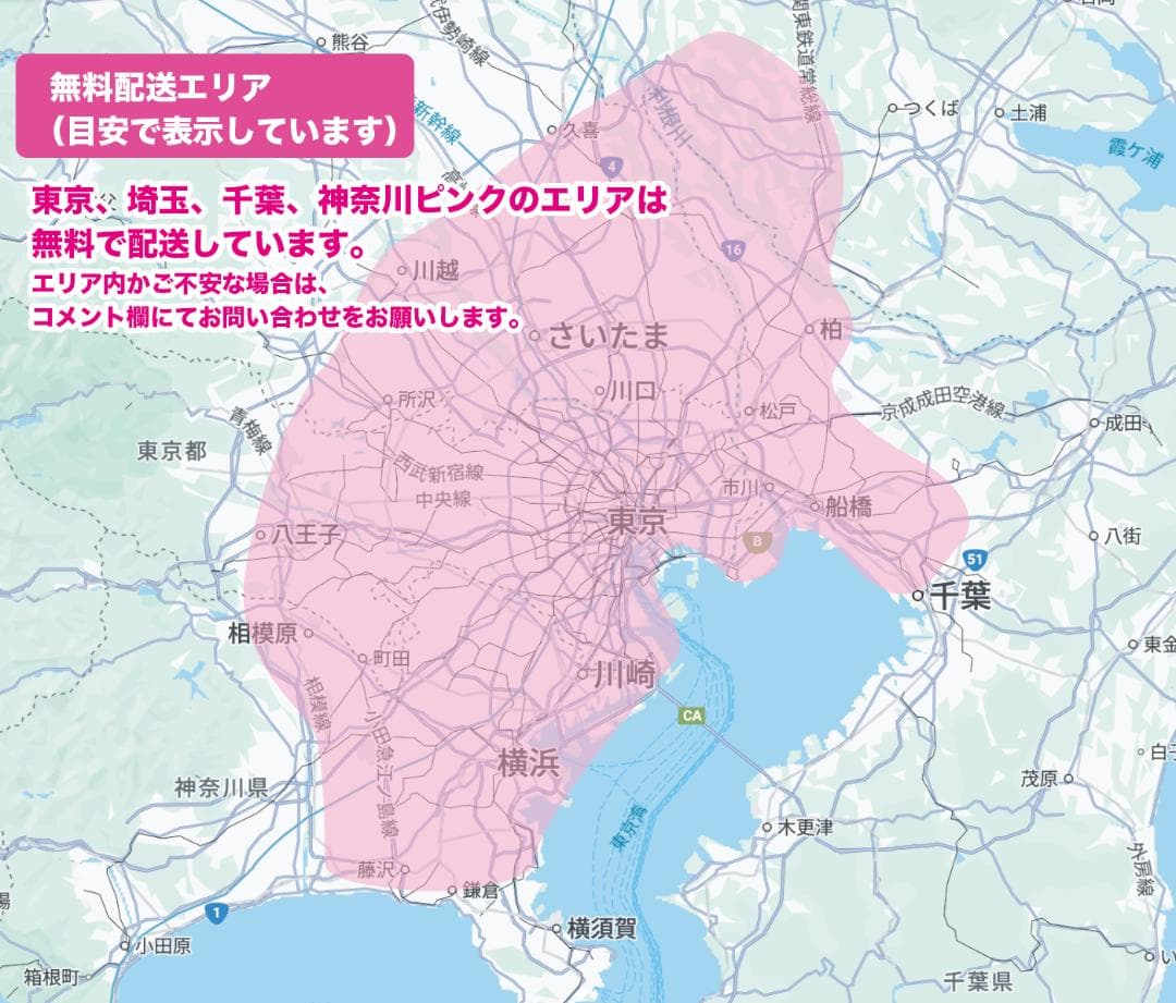 《PANASONIC》20インチ子供乗せ電動自転車ギュットアニーズNZ2936