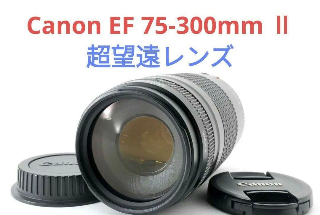 1月28日限定特価♪【超望遠レンズ】Canon EF 75-300mm Ⅱ 20240904141421_1.jpg