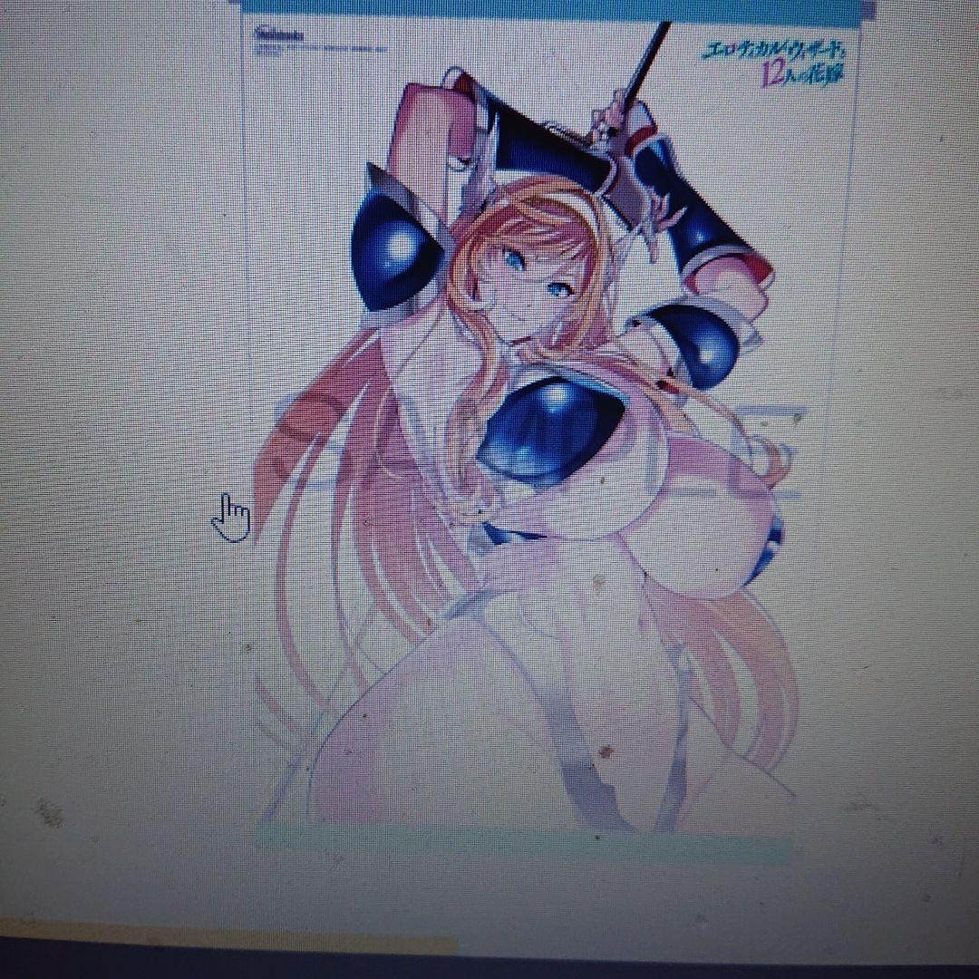 エロティカル・ウィザードと12人の花嫁 メロンブックス特典タペストリー 新品