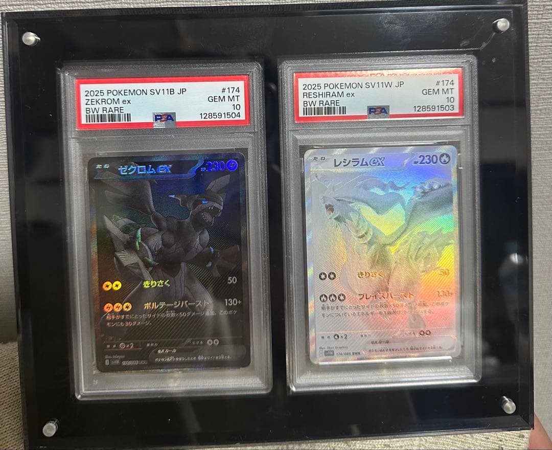 ゼクロムEX & レシラムEX PSA GEM MT 10 連番 PSA10鑑定済〕レシラム＆ゼクロムGX(SA)【SR】{064/049} 1枚の通販