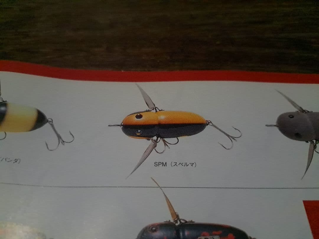 道楽　DOWLUCK 　ドウラク　マダデッセ　スペルマ