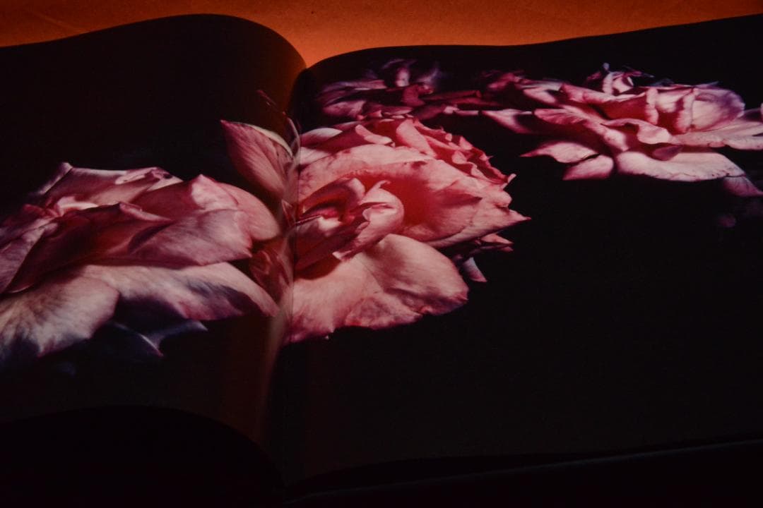 VISIONAIRE 40：DAVID SIMS ROSES　★★値下げしました