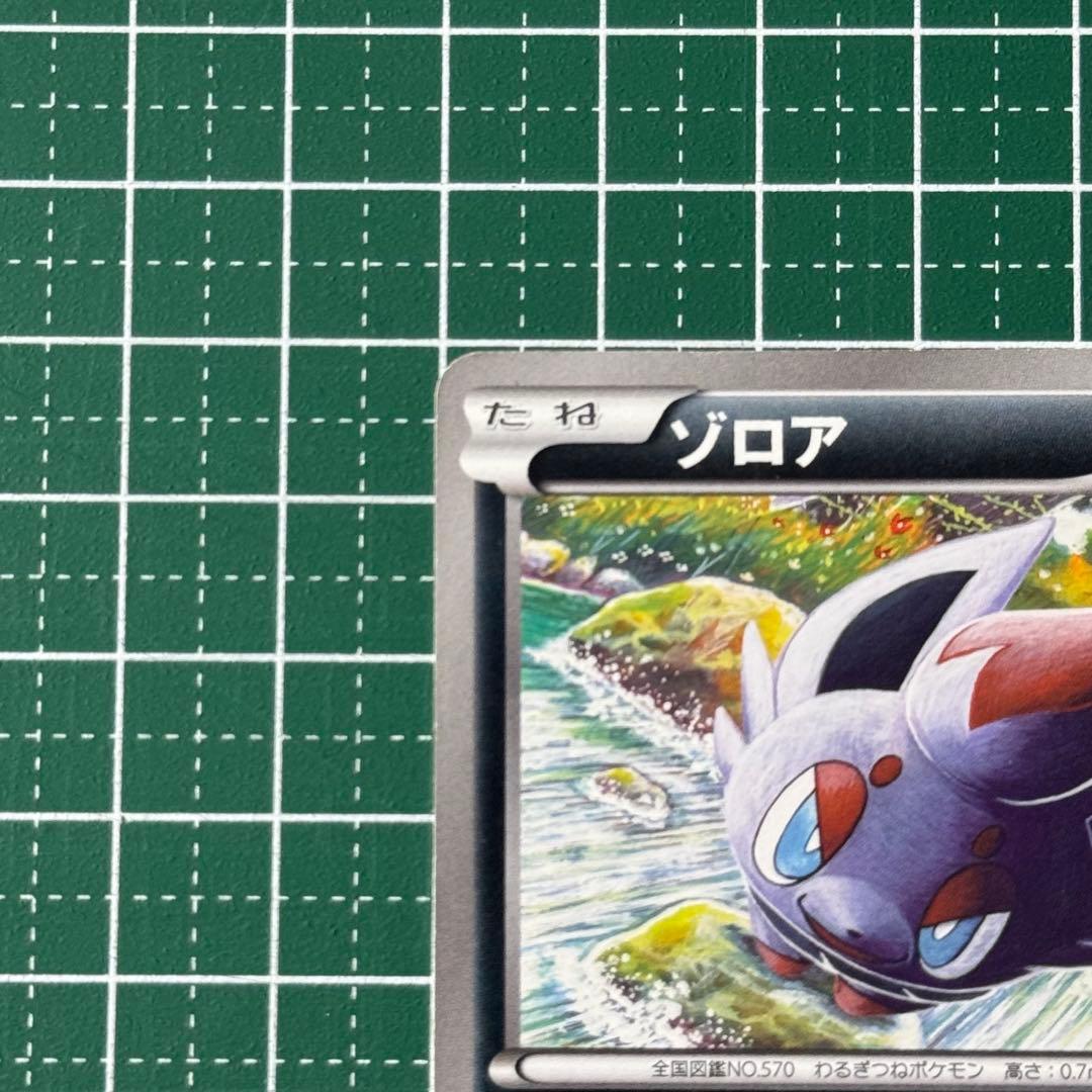 ゾロア PROMO BW-Pプロモカード 021/BW-P - メルカリ