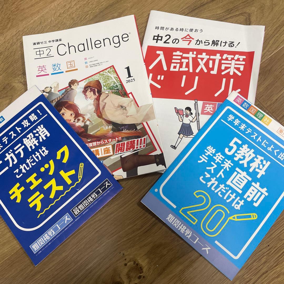 進研ゼミ中学講座☆中2✳︎1月号✳︎2025☆定期テストに、お試しに