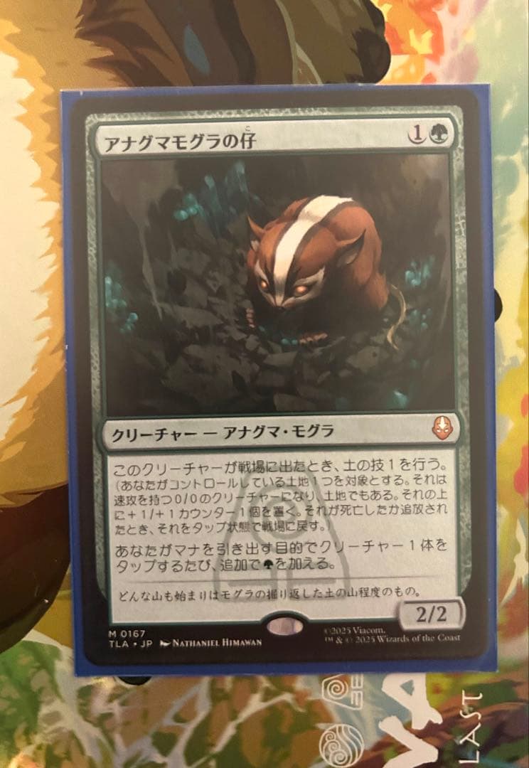 アナグマモグラの仔/Badgermole Cub 1枚 日本語 MTG アナグマモグラの仔/Badgermole Cub 通常 日本語1枚】 - メルカリ