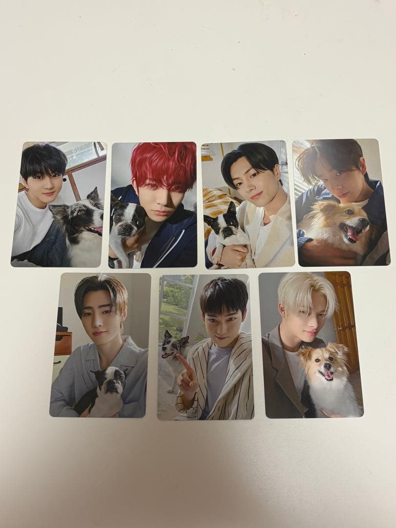 ENHYPEN アンケートトレカ7人セット - メルカリ