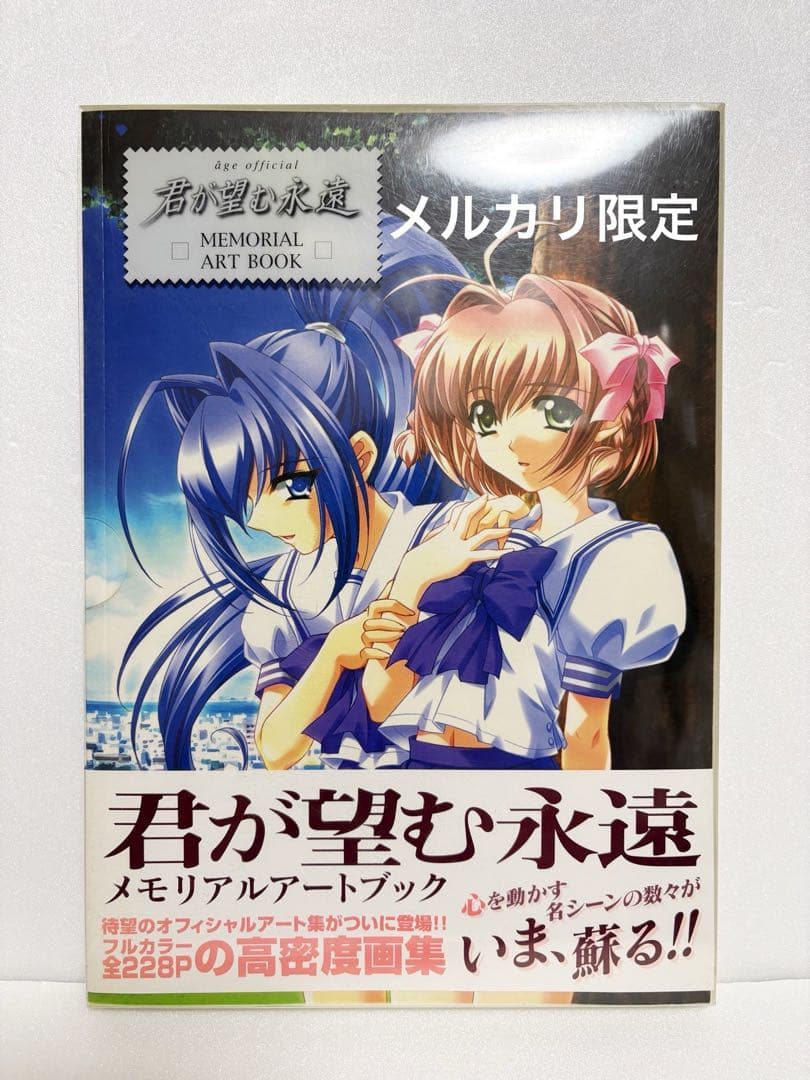 君が望む永遠 メモリアルアートブック - メルカリ
