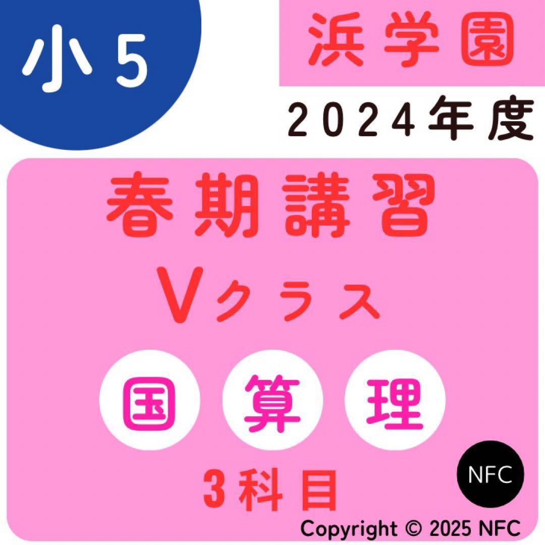 浜学園 小5 春期講習 Vクラス 3教科 復習テスト 2024年度 - メルカリ