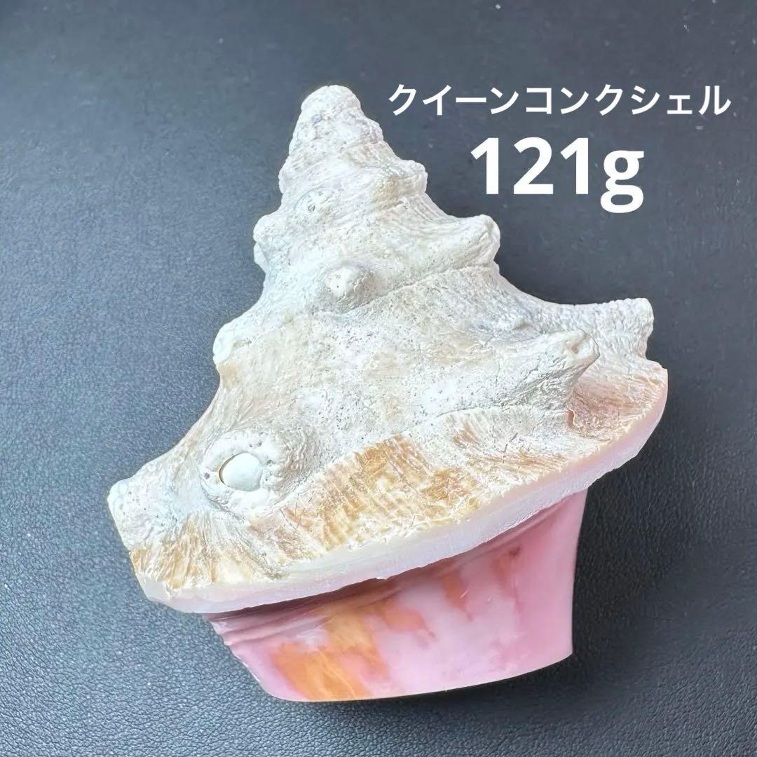 希少 クイーンコンクシェル 原石 貝殻 ピンク貝 パワーストーン 121g