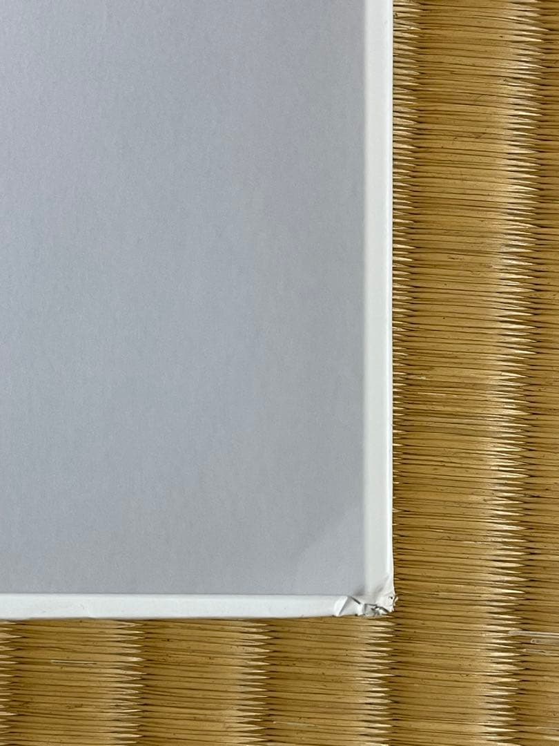 Viviane Sassen \"PARASOMNIA\" 初版