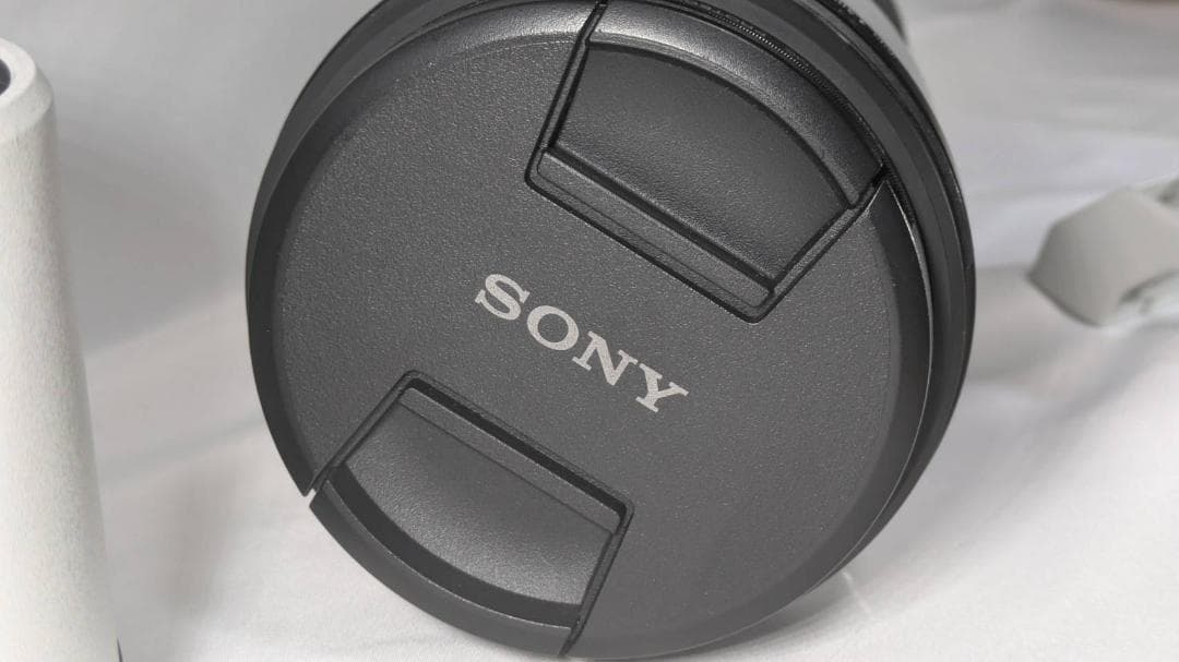 レンズ(ズーム) FE200-600mm F5.6-6.3 G OSS SEL200600G