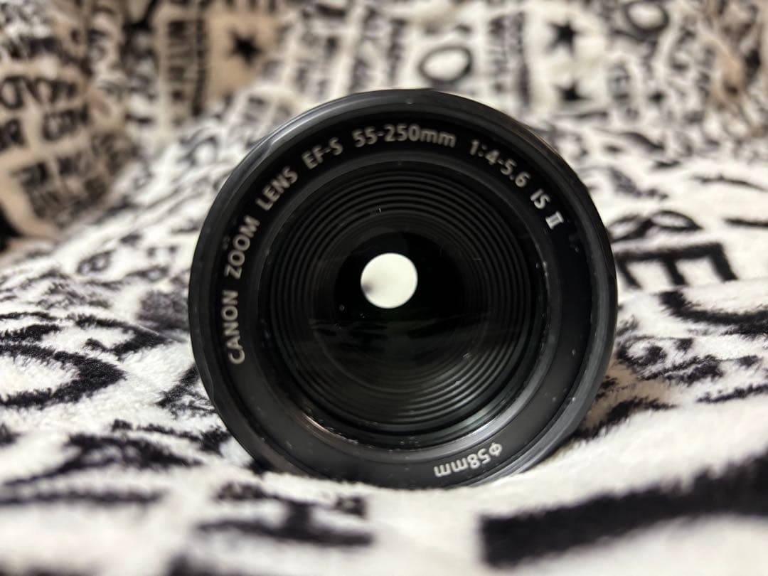 Canon EF-S 55-250mm f/4-5.6 II ズームレンズ