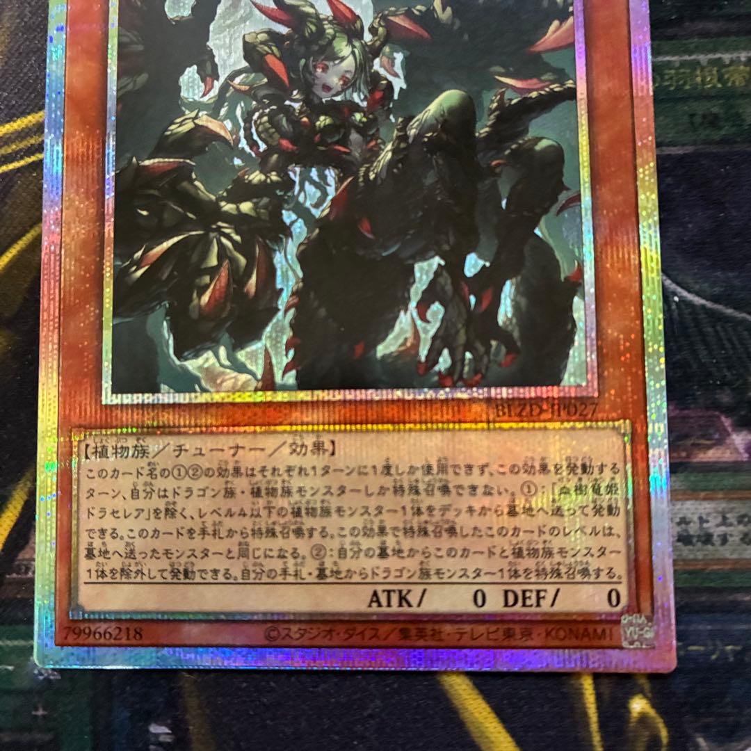 血樹竜姫ドラセレア プリズマティックシークレットレア プリシク