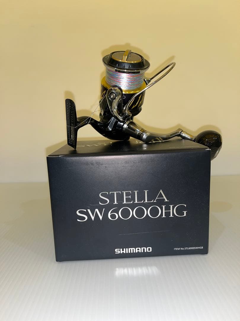 リール SHIMANO STELLA SW6000HG シマノ（SHIMANO） 20 ステラSW 6000HG (2020年追加モデル) スピニング