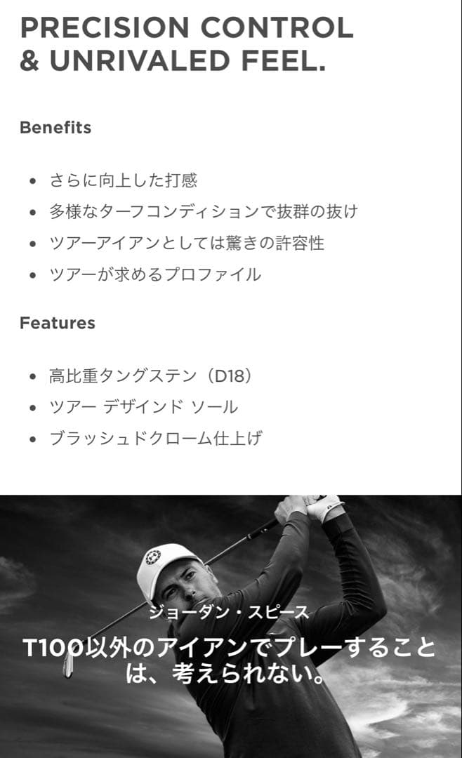 新品 タイトリスト T100 アイアンセット N.S.PRO 105T シャフト
