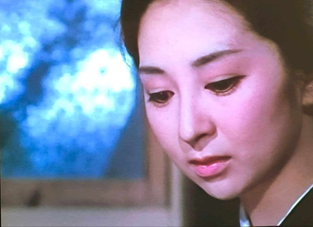 昭和の名作ライブラリー あの橋の畔(たもと)で コレクターズ DVD 5枚組