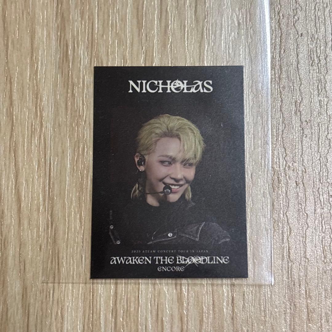 &TEAM NICHOLAS ATB アンコン （n-0005） - メルカリ