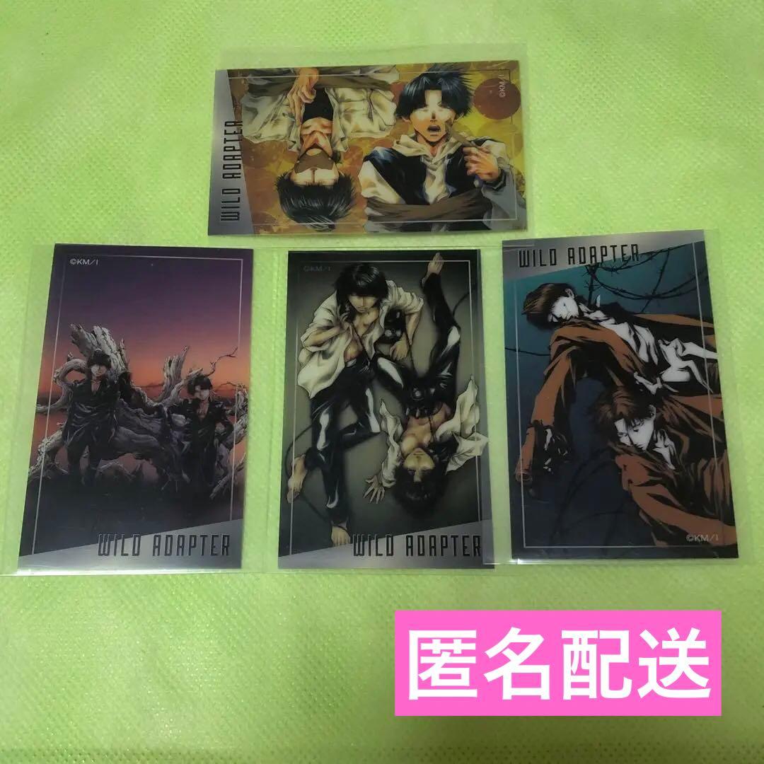 WILD ADAPTER、ワイルドアダプター、クリアカード、久保田誠人、時任稔