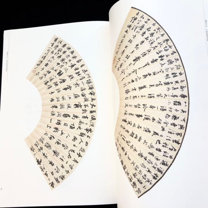 中国書道】「陸儼少 - 海派代表書法家系列作品集」上海書画出版社