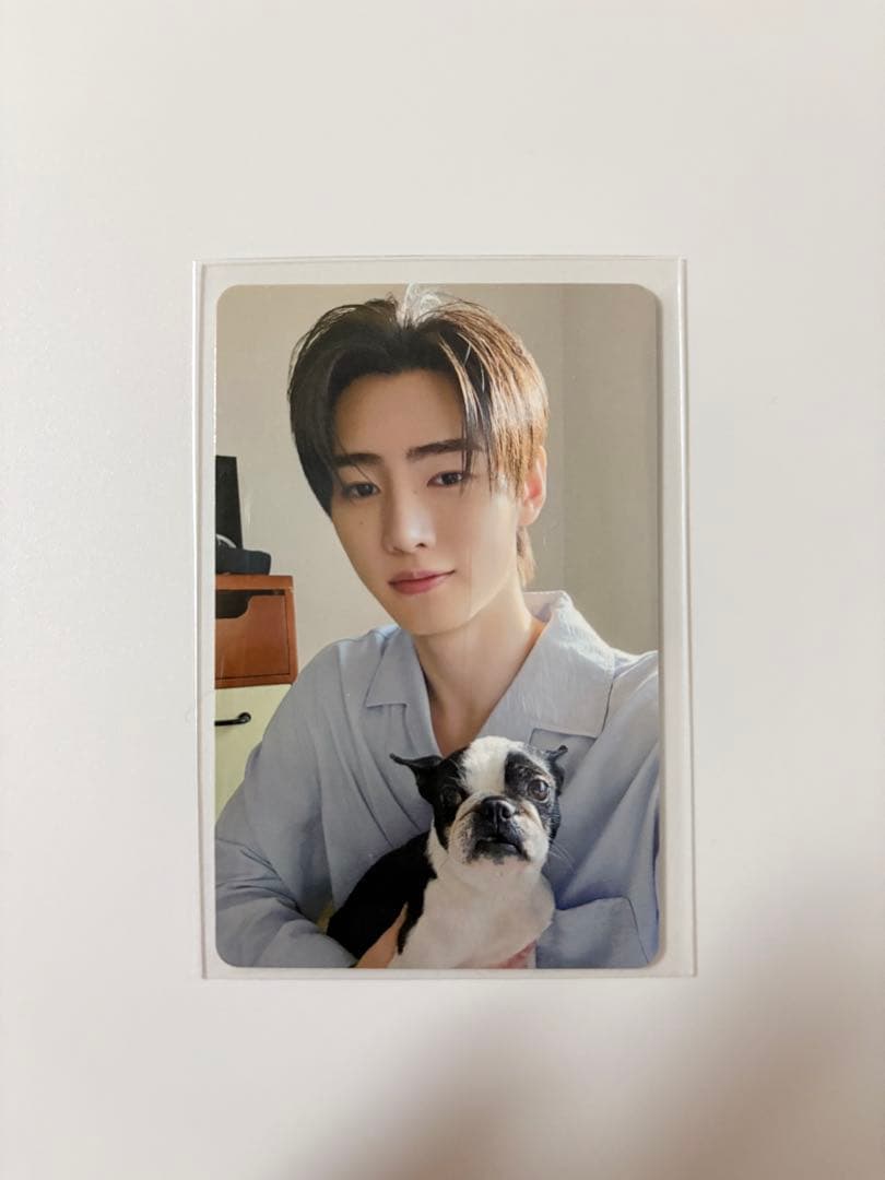 ENHYPENのアンケートトレカ2025 ソンフン - メルカリ