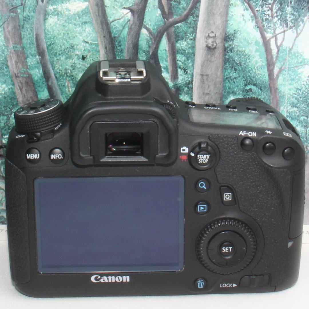 ☆はじめてのフルサイズ☆Canon EOS 6D 超望遠ダブルレンズセット