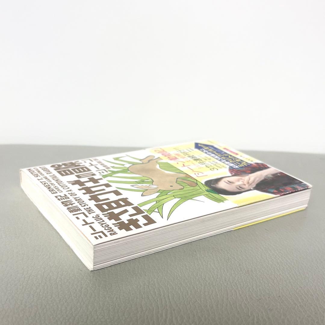 ぎざ耳ウサギの冒険 シートン動物記 読み安い本 癒し 感動 文庫本